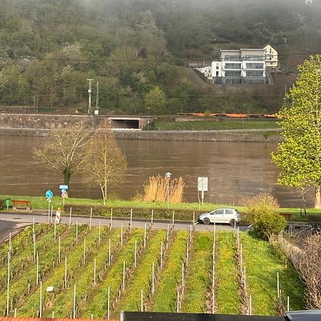 Hakans Moselblick Ferienwohnung Treis-Karden Εξωτερικό φωτογραφία